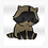 raccoon